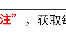 168NBA-太阳灼伤勇士！布克大腿发挥，努尔基奇真香，库里克莱保罗低迷