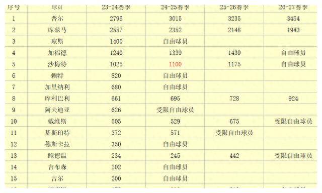 华盛顿奇才-次轮收割机：23-24赛季NBA球队观察之华盛顿奇才