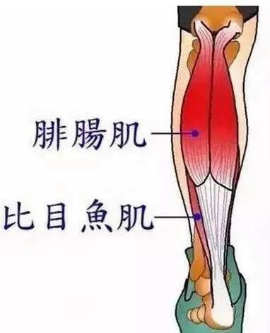 【168NBA】凯尔特人4-0完胜步行者，塔图姆亮眼但东决MVP花落布朗