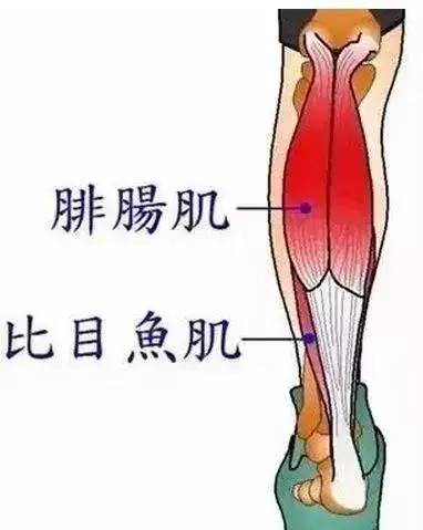 【168NBA】凯尔特人4-0横扫步行者，塔图姆发挥最佳，东决MVP却颁给布朗